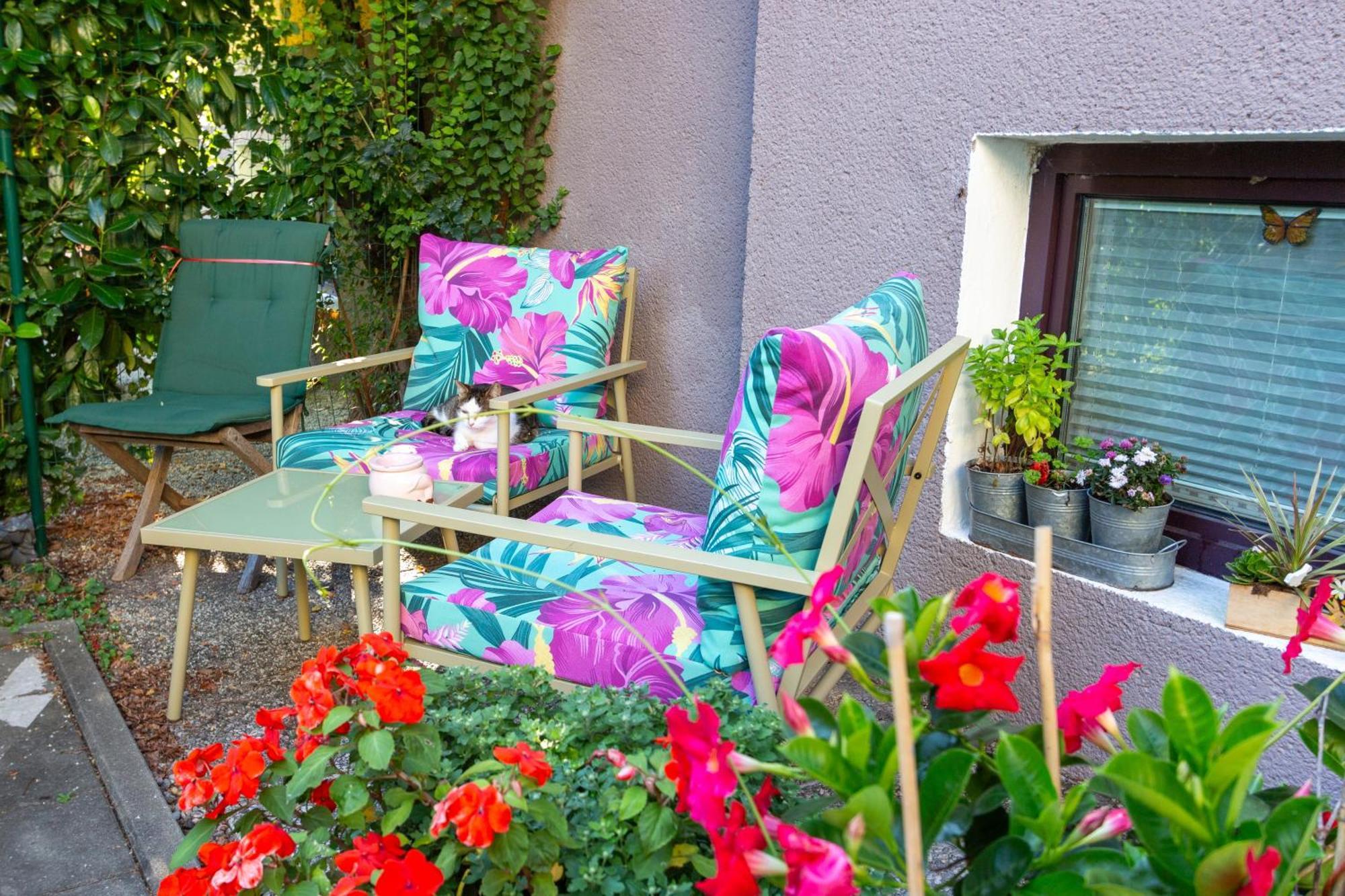 Apartamento Benjamins Refugium Salzburgo Exterior foto