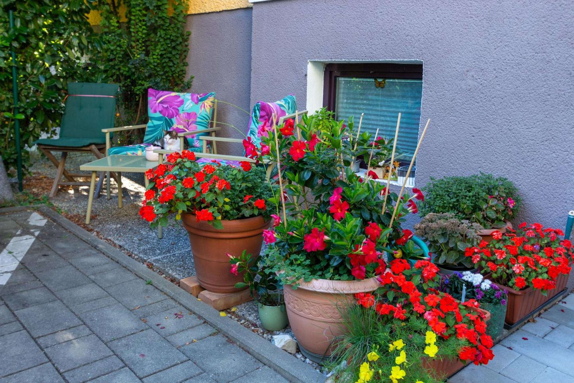 Apartamento Benjamins Refugium Salzburgo Exterior foto